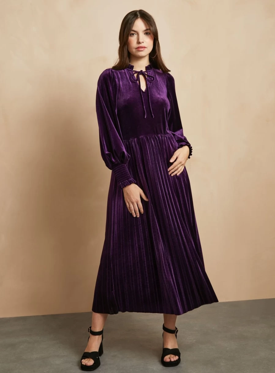 Everbelle Women's Purple Velvet High Neck Dress - Elegant Long Sleeve Formal Gown for Special Occasions