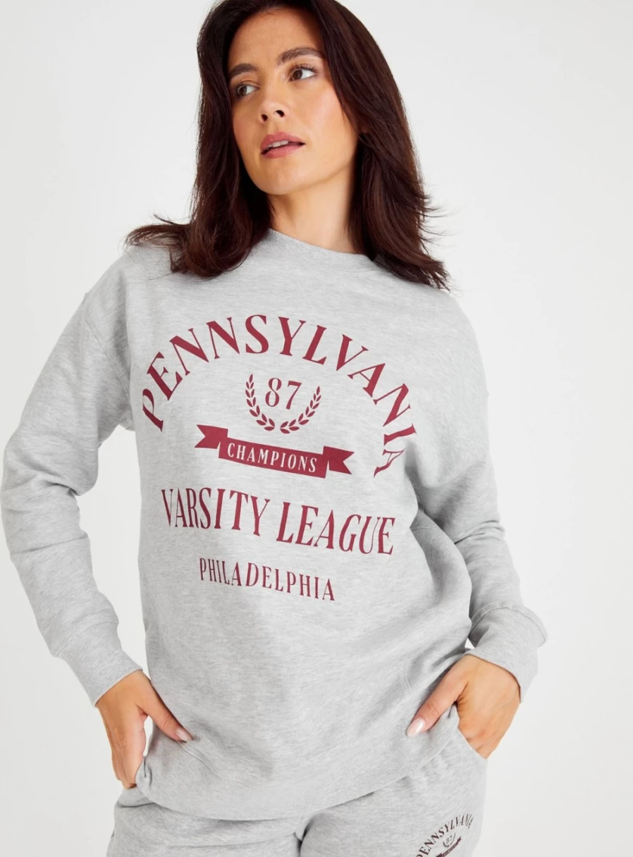 Women's Grey Tu Pennsylvania Sweatshirt - Soft Casual Pullover (Size L)