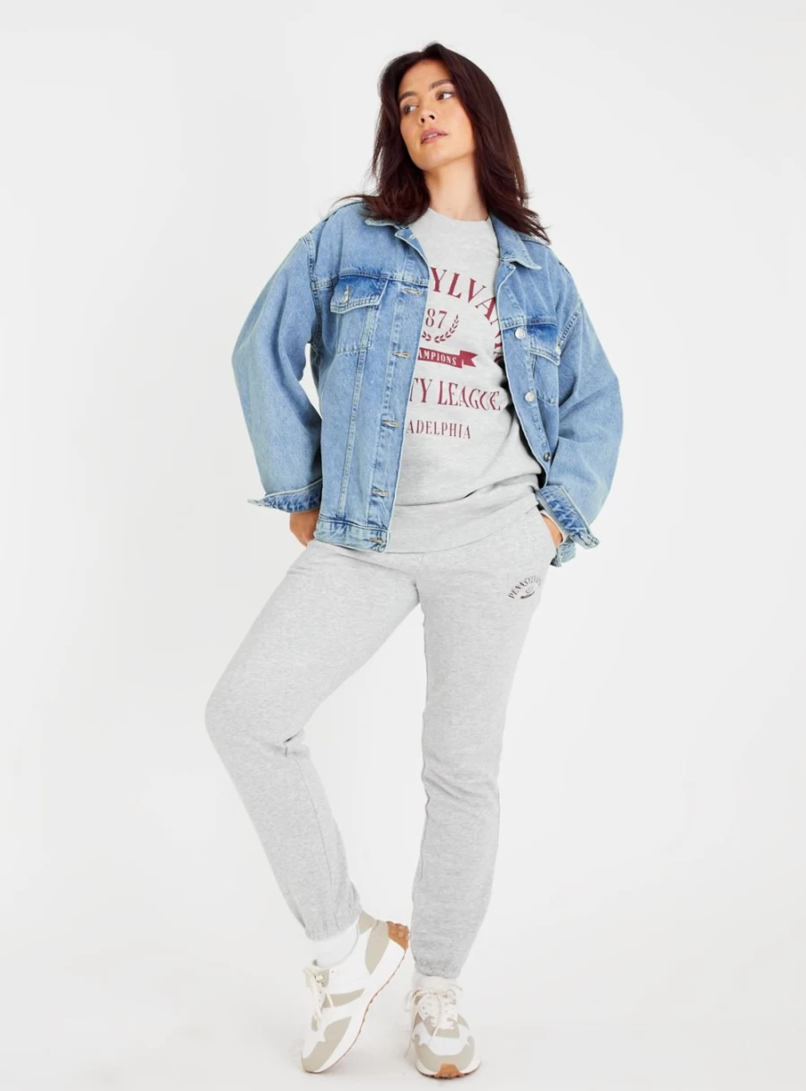 Women's Grey Tu Pennsylvania Sweatshirt - Soft Casual Pullover (Size L)